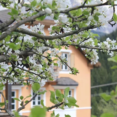 Villa Alba-2